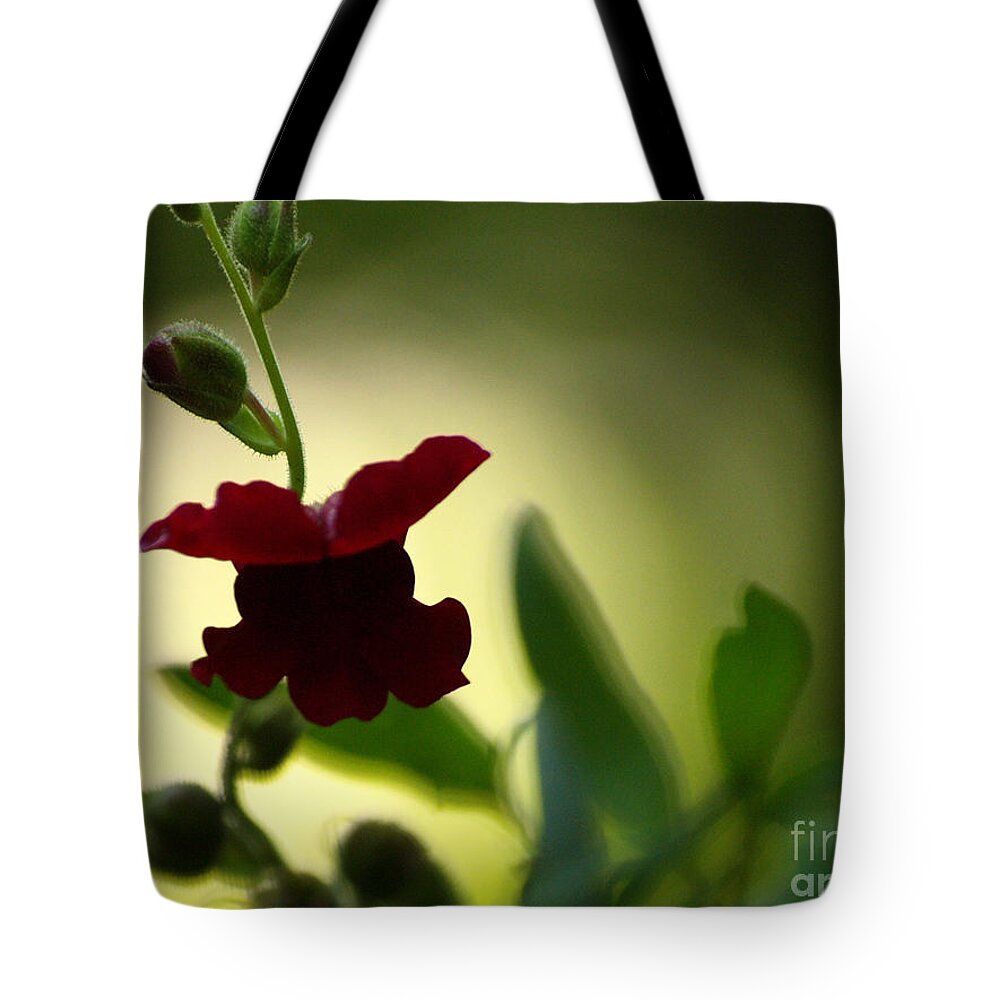 Flowers Tote Bag featuring the photograph Pout by Dorothy Lee