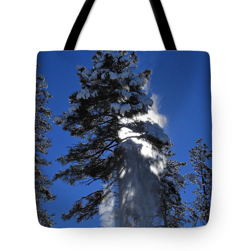 Trees Tote Bag featuring the photograph Powderfall by Gary Kaylor