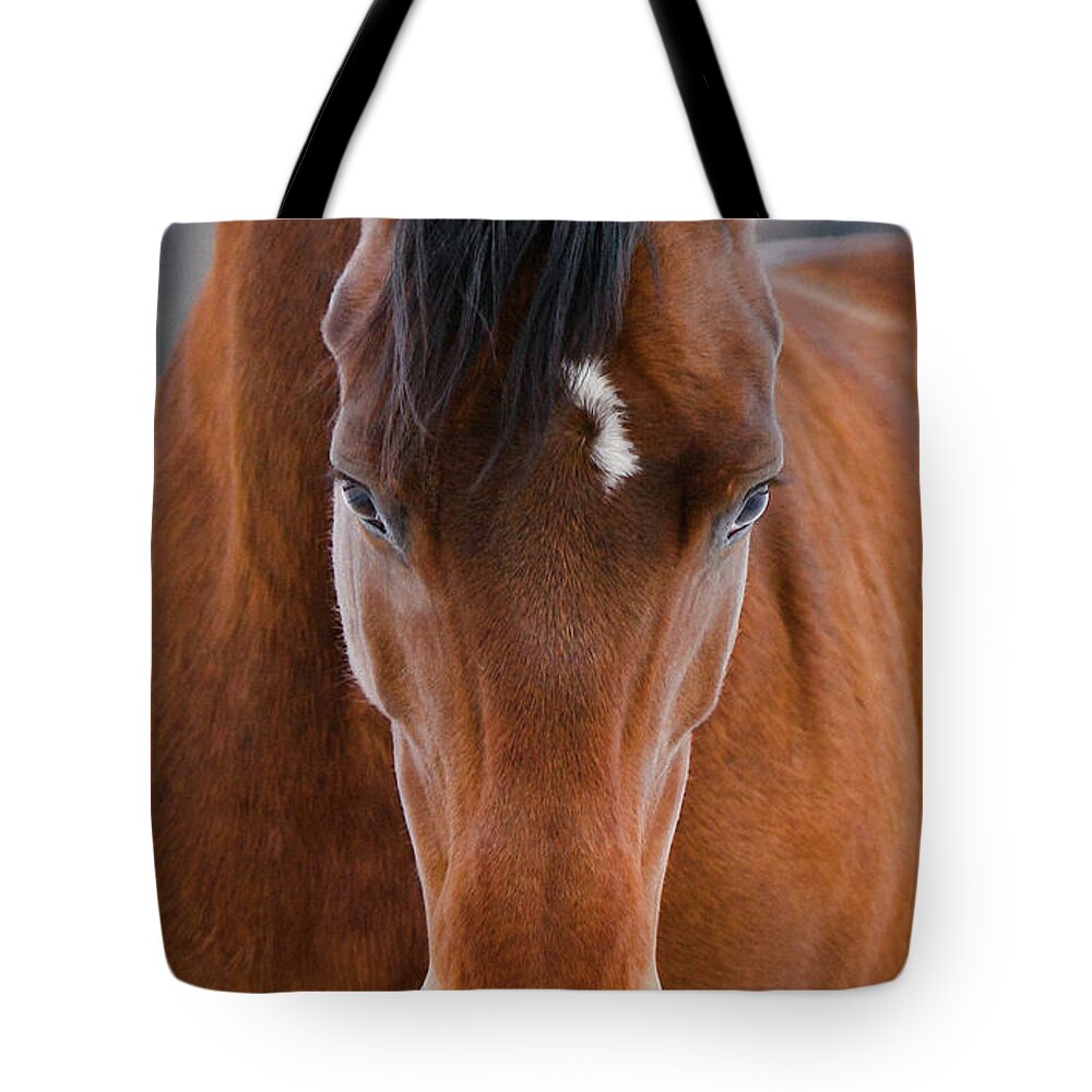 Russian Artists New Wave Tote Bag featuring the photograph Power by Ekaterina Druz