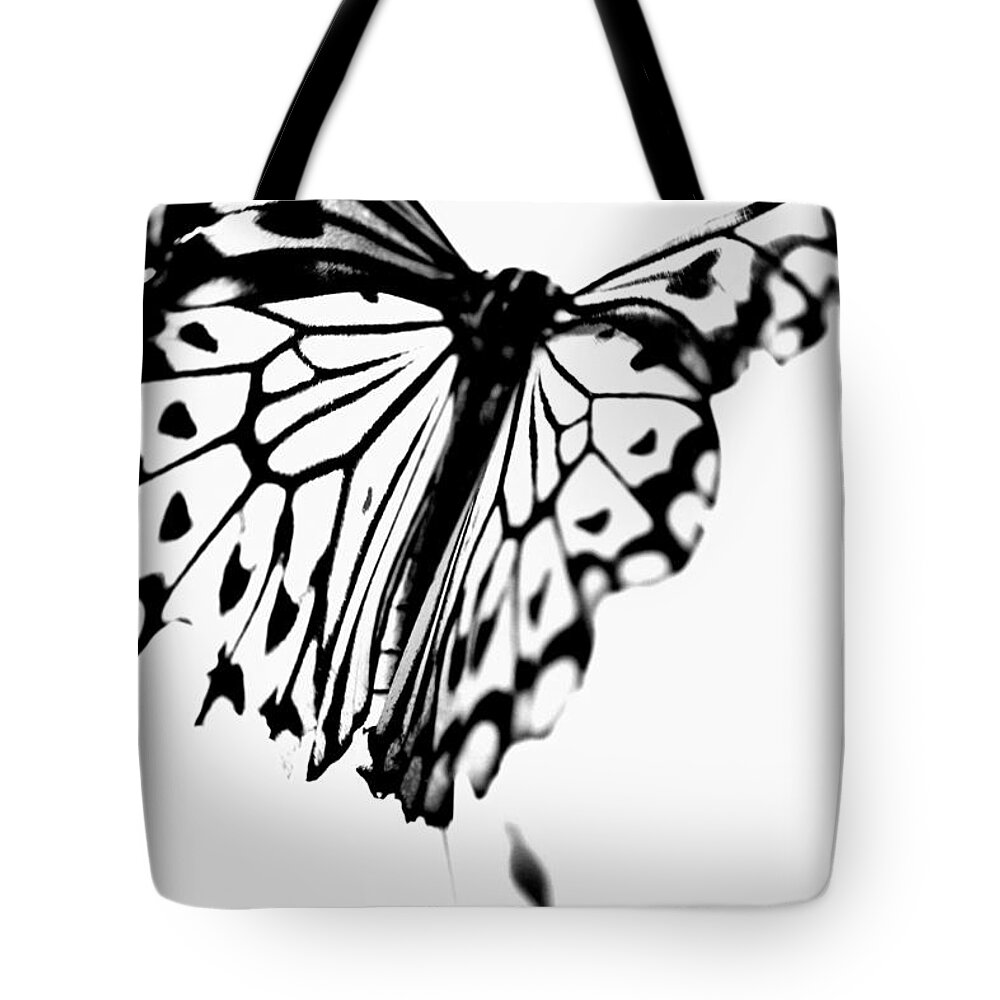  Tote Bag featuring the photograph Power Fly by The Art Of Marilyn Ridoutt-Greene