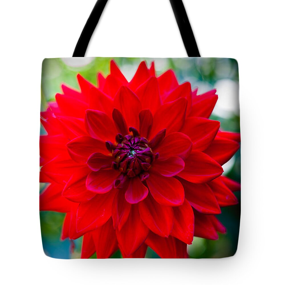 Bellingham Tote Bag featuring the photograph Power by Judy Wright Lott