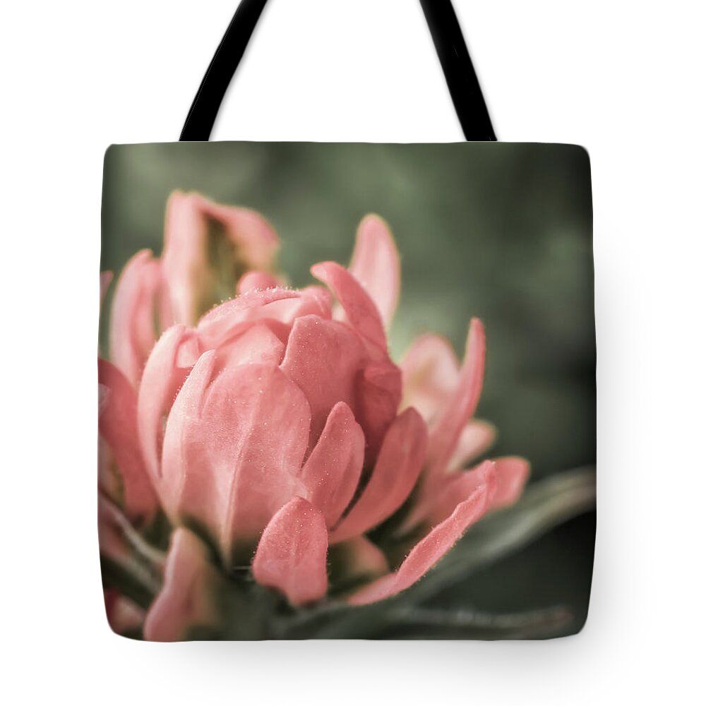 Indian Paintbrush Tote Bag featuring the photograph Prairie Fire by James Barber