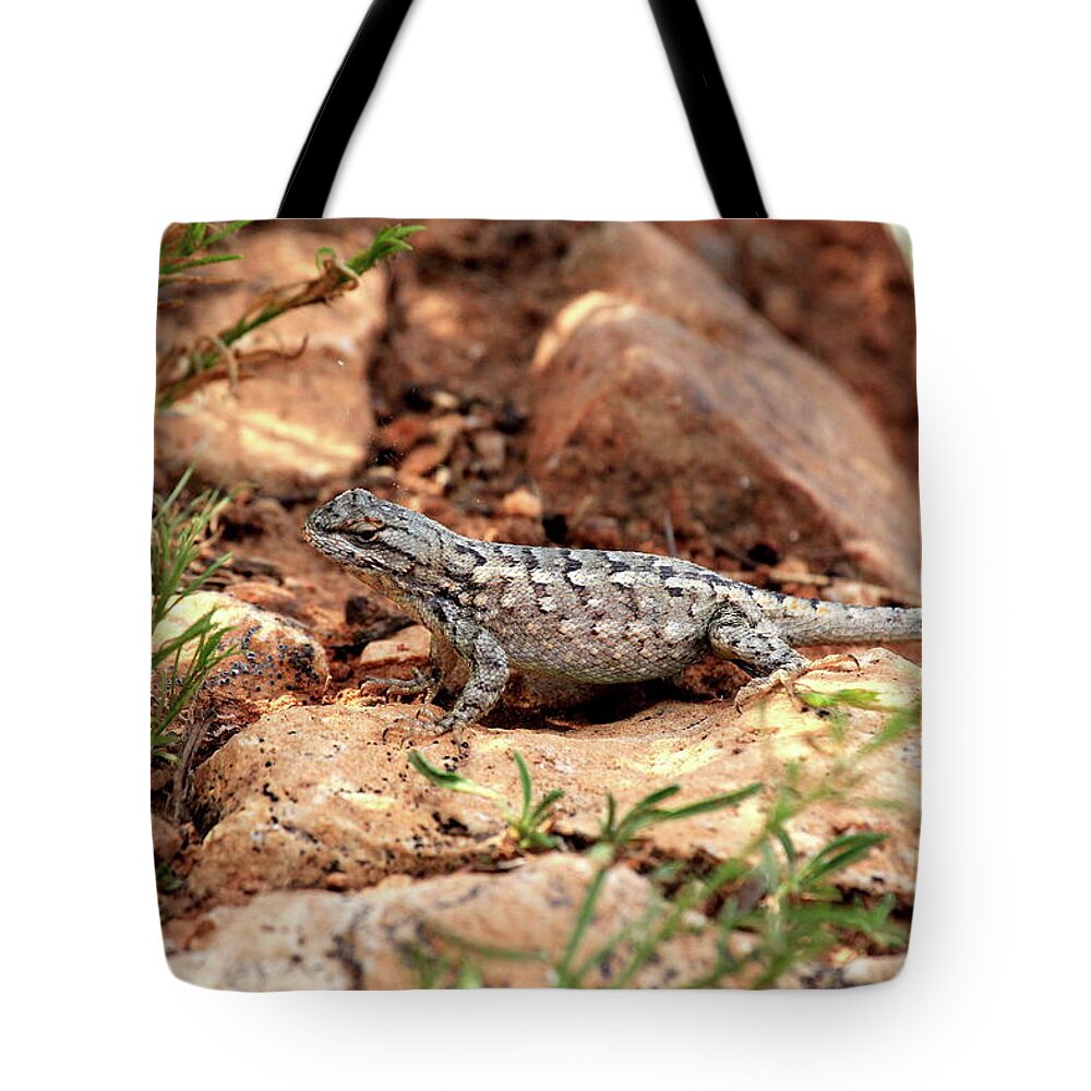 Wild Tote Bag featuring the photograph Prairie Lizard by Trent Mallett
