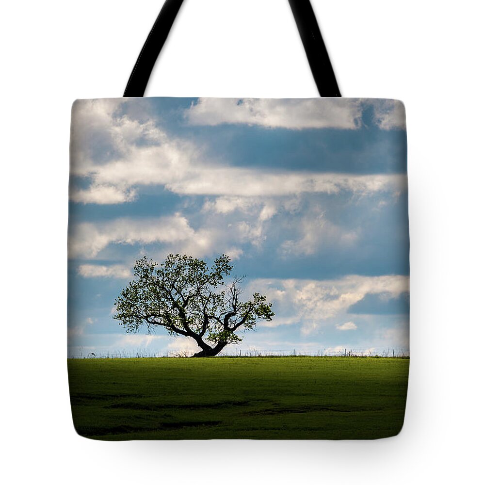 Lone Tree Tote Bag featuring the photograph Prairie Survivor by Jeff Phillippi