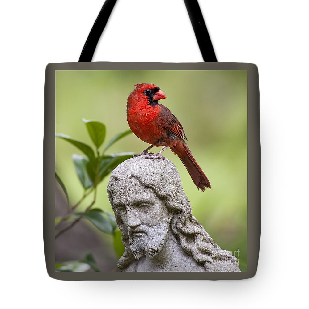 Cardinal Tote Bag featuring the photograph Praise the Lord by Bonnie Barry