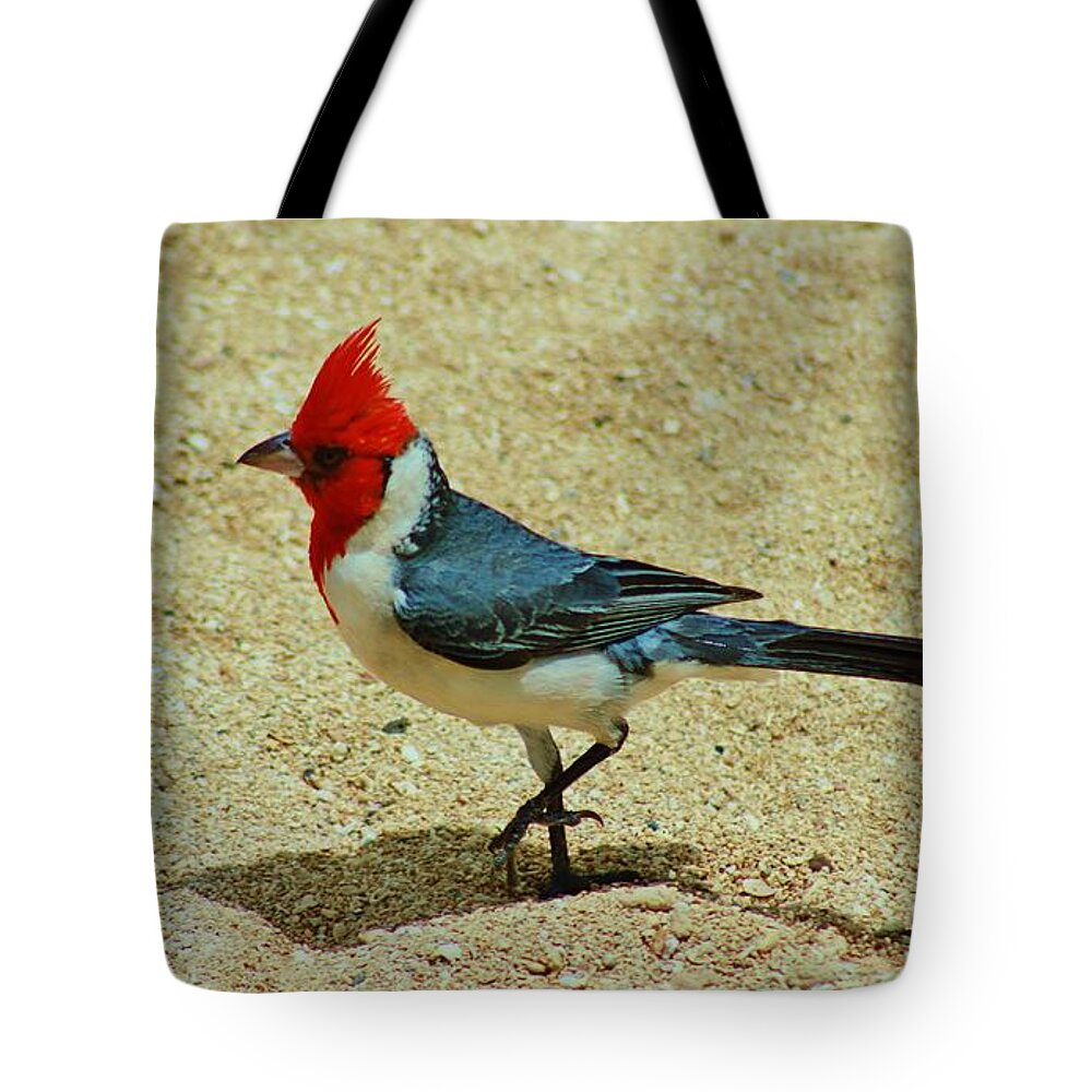 Red-crested Cardinal Tote Bag featuring the photograph Prancing Brazil Cardinal by Craig Wood