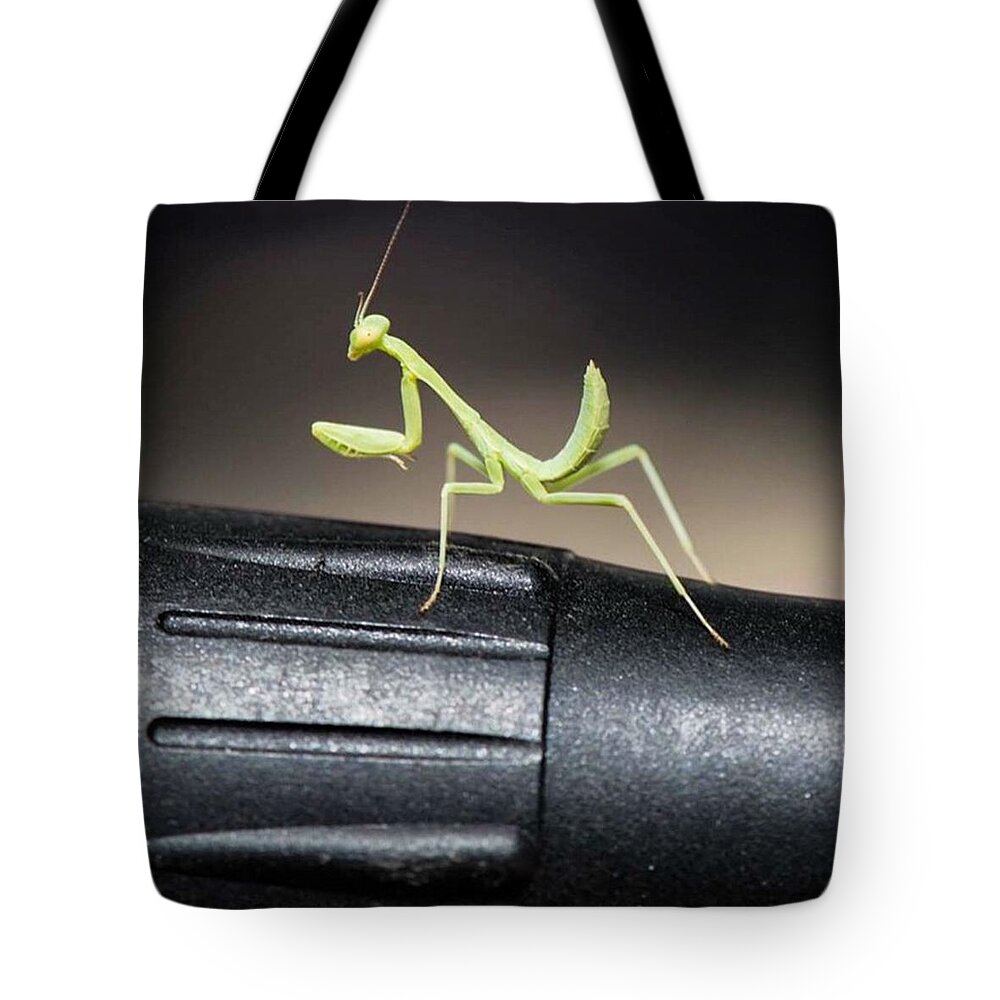 Singer Tote Bag featuring the photograph Praying Mantis On Stage On Microphone by Michael Moriarty