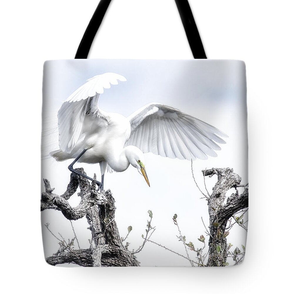 Crystal Yingling Tote Bag featuring the photograph Pre-flight by Ghostwinds Photography