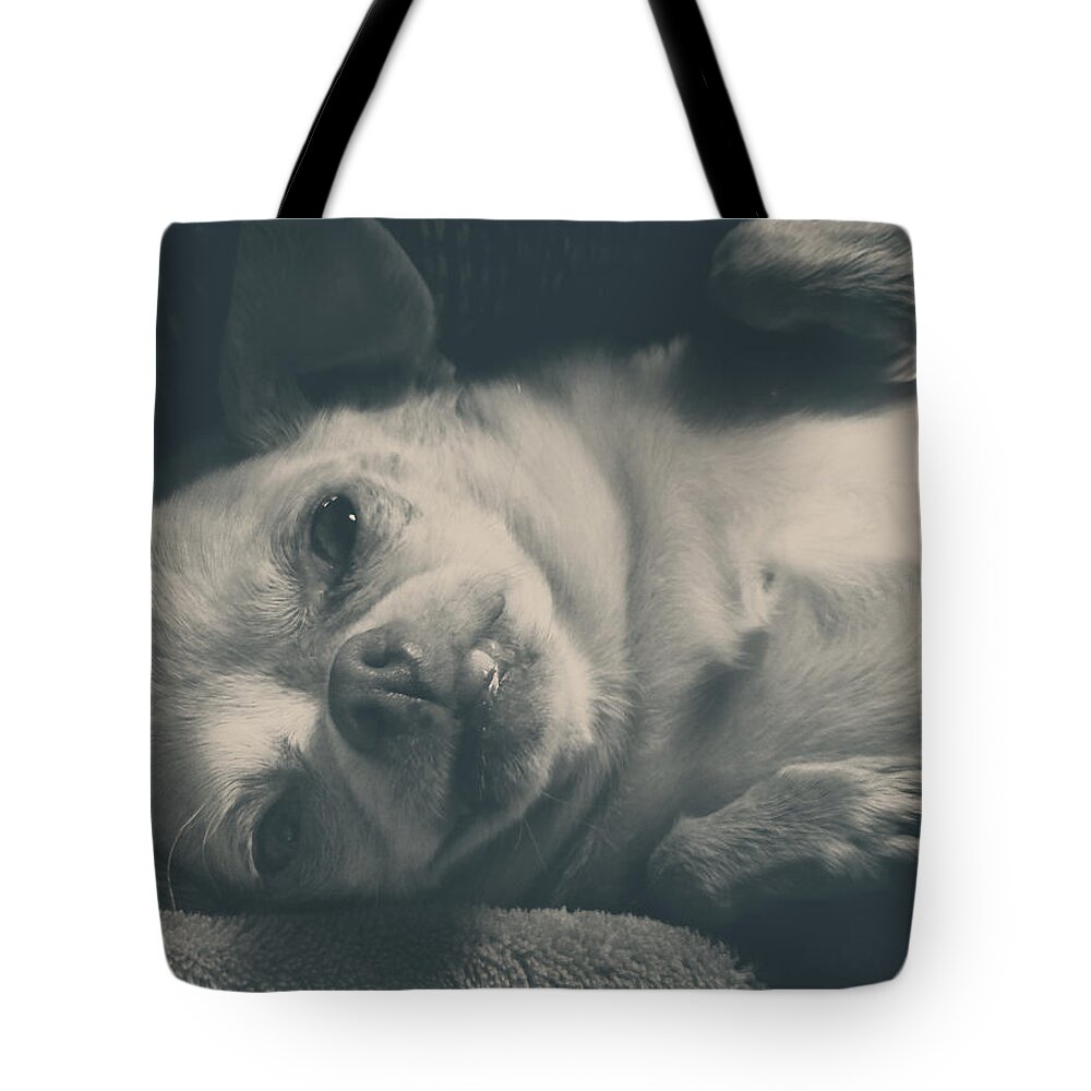 Dogs Tote Bag featuring the photograph Precious by Laurie Search