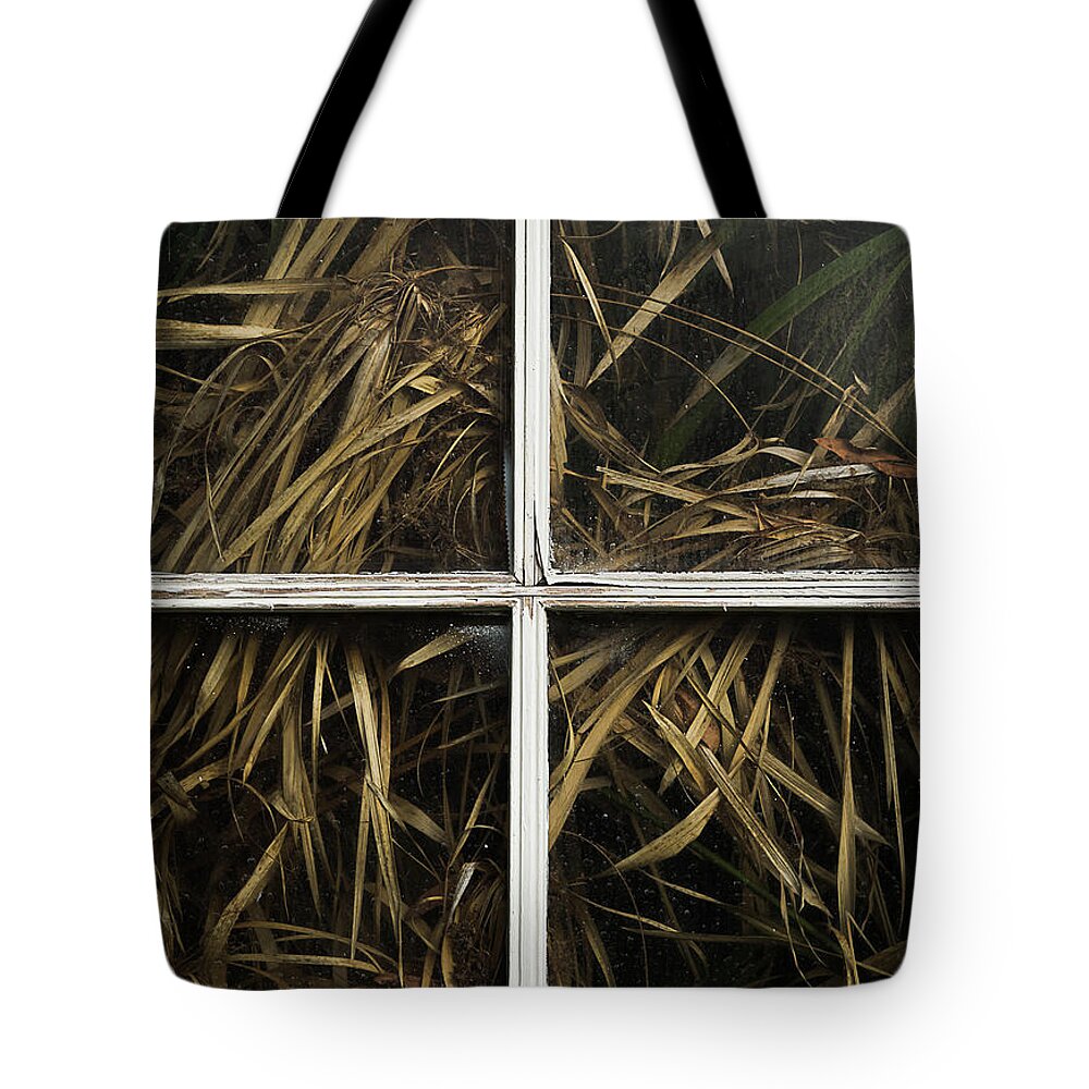 Conservatory Tote Bag featuring the photograph Pressing Urges by Lynn Wohlers