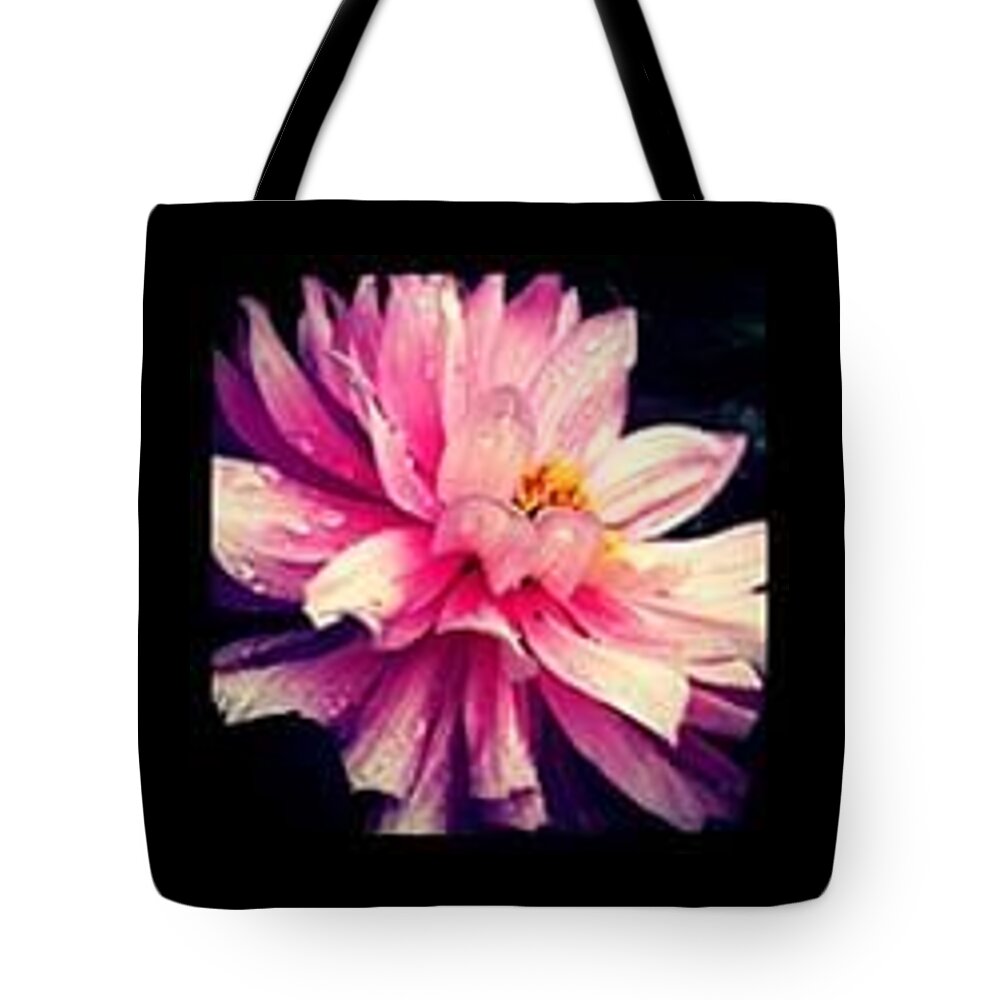 Pink Tote Bag featuring the photograph Pretty and Pink by Zoe Calvert