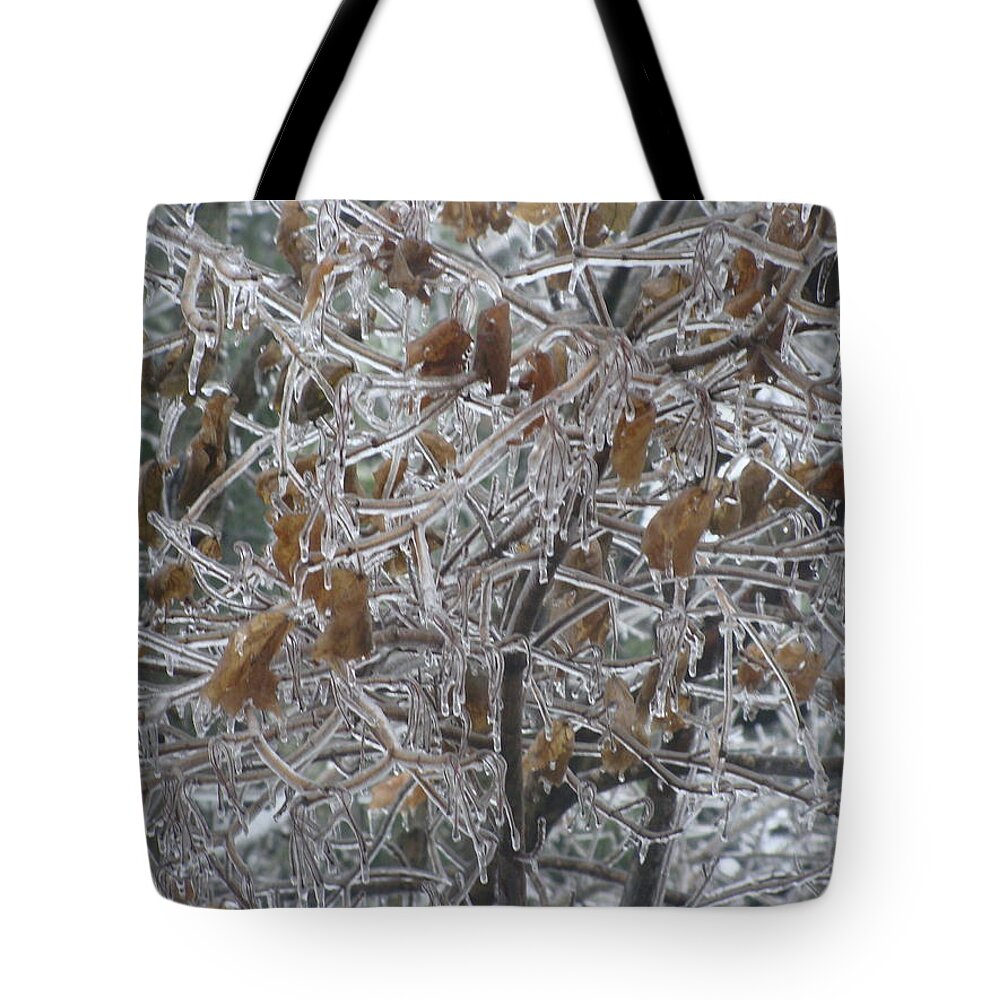 Frozen Tote Bag featuring the photograph Pretty as Glass by Stacie Siemsen