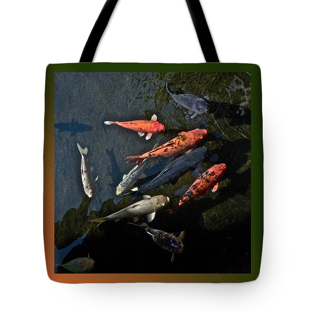 Green Tote Bag featuring the photograph Pretty Fish by Suanne Forster