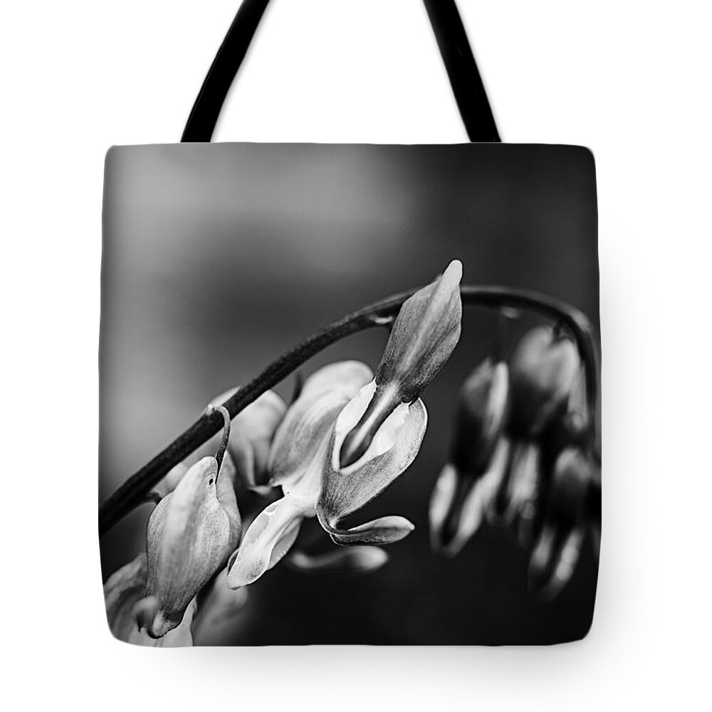 Flower Tote Bag featuring the photograph Pretty in Black and White by Marcus Karlsson Sall