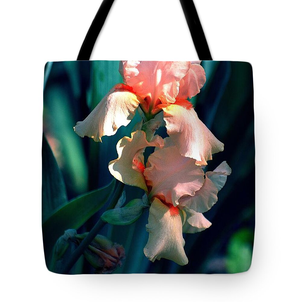 Iris Tote Bag featuring the photograph Iris Beauty in Peachy Pink by Linda Cox