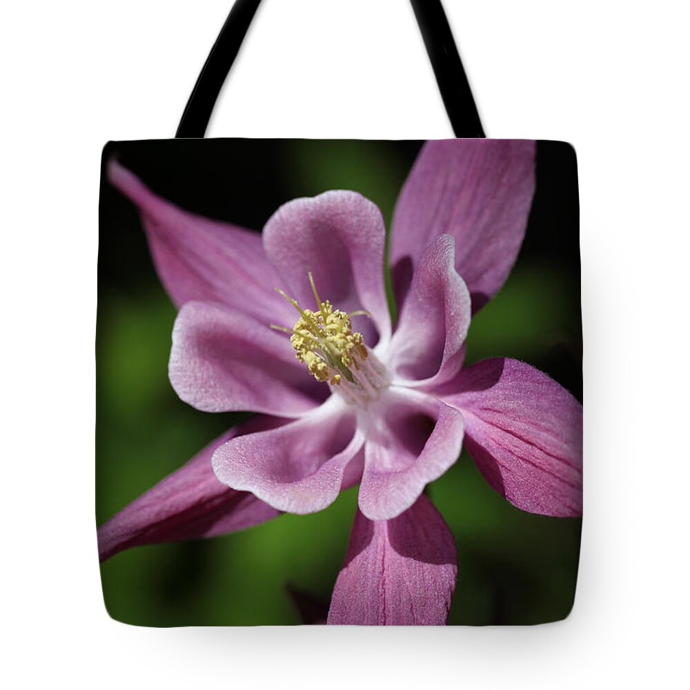Pink Tote Bag featuring the photograph Pretty in Pink by Tammy Pool