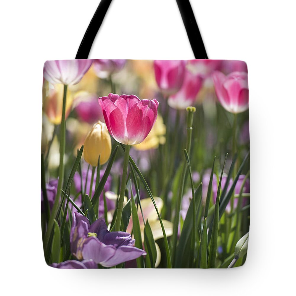 Tulips Tote Bag featuring the photograph Pretty in Pink Tulips by Jeanne May