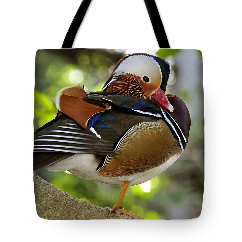 Bird Tote Bag featuring the photograph Pretty little duck by David Lee Thompson