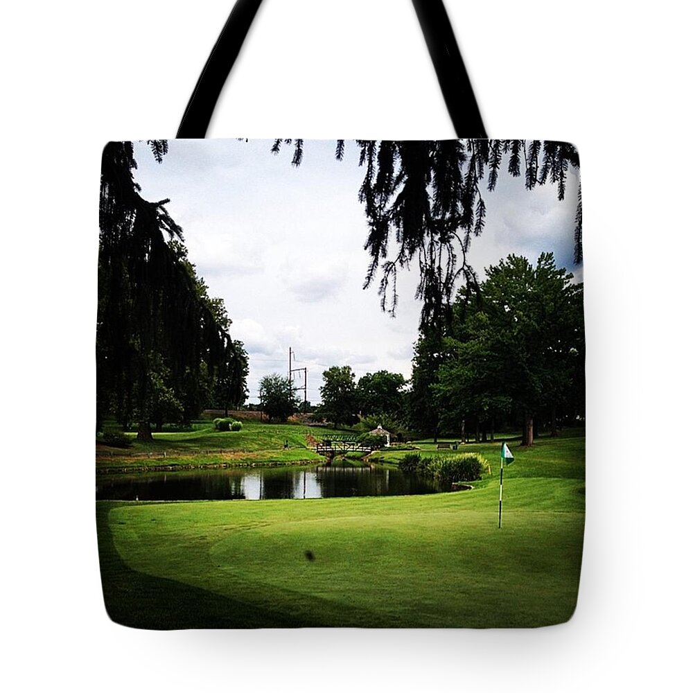  Tote Bag featuring the photograph Pretty Neat by Ryan Johnston
