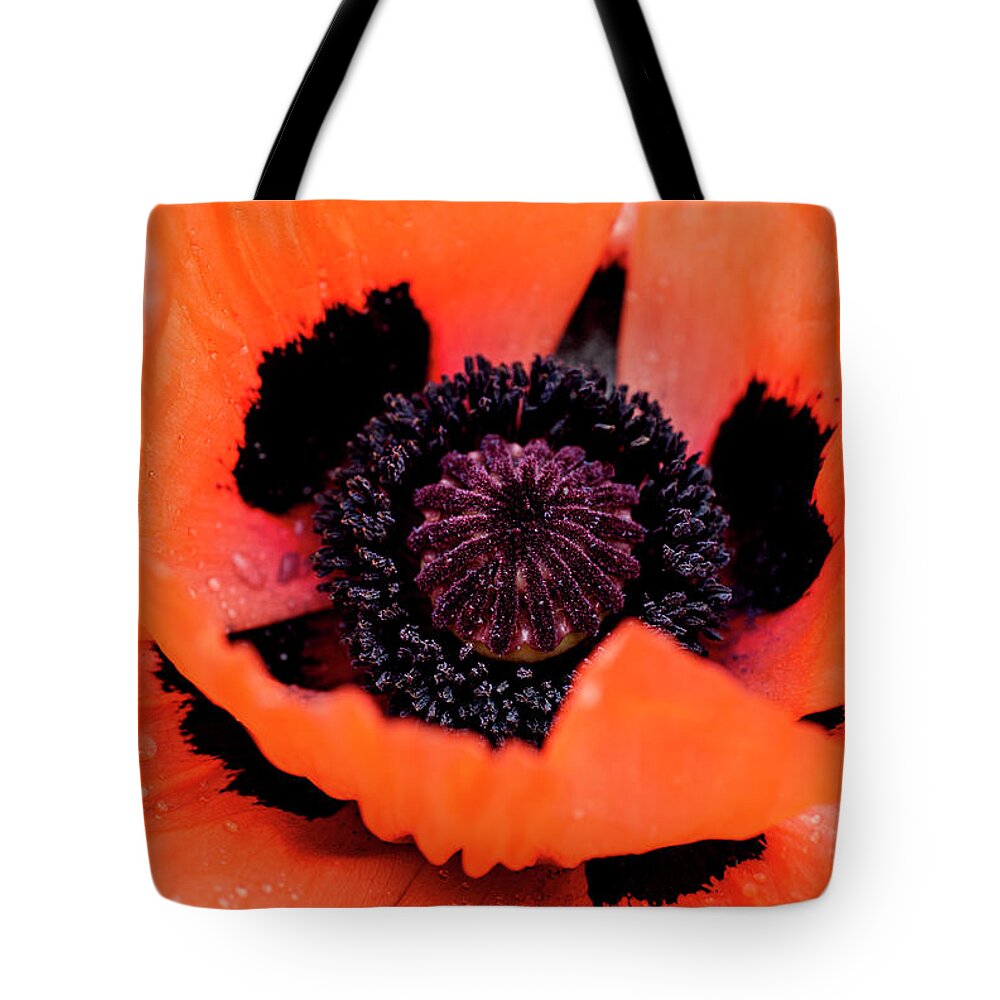 Jigsaw Puzzle Tote Bag featuring the photograph Pretty Oriental Poppy by Carole Gordon