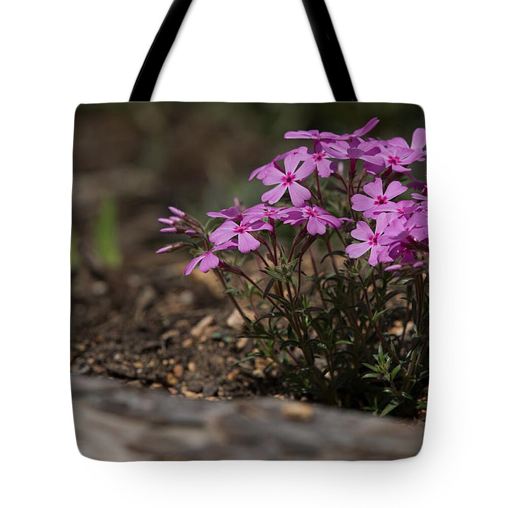 Botanical Gardens Tote Bag featuring the photograph Pretty pink by Agnes Caruso