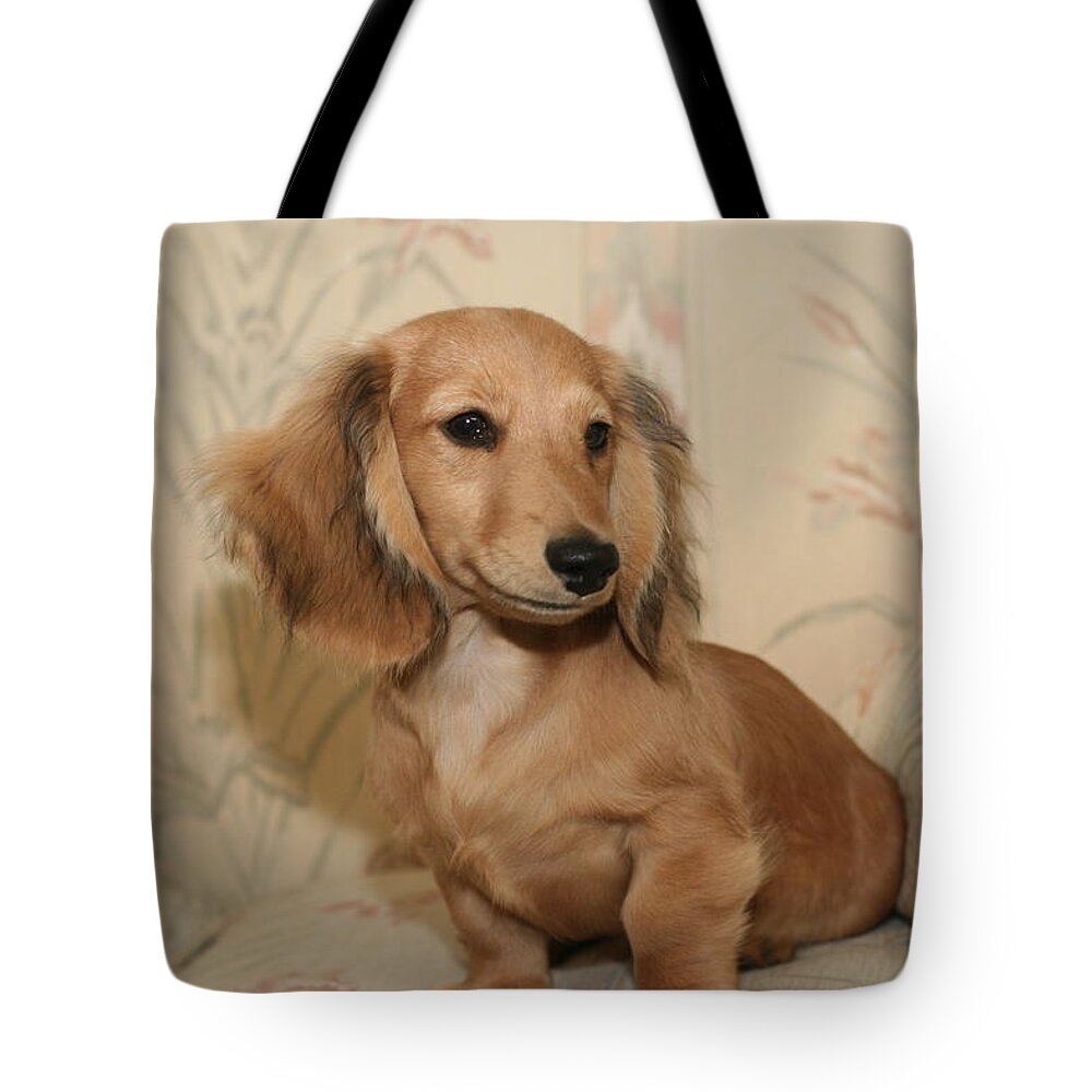 Companion Tote Bag featuring the photograph Pretty Pup by Ree Reid