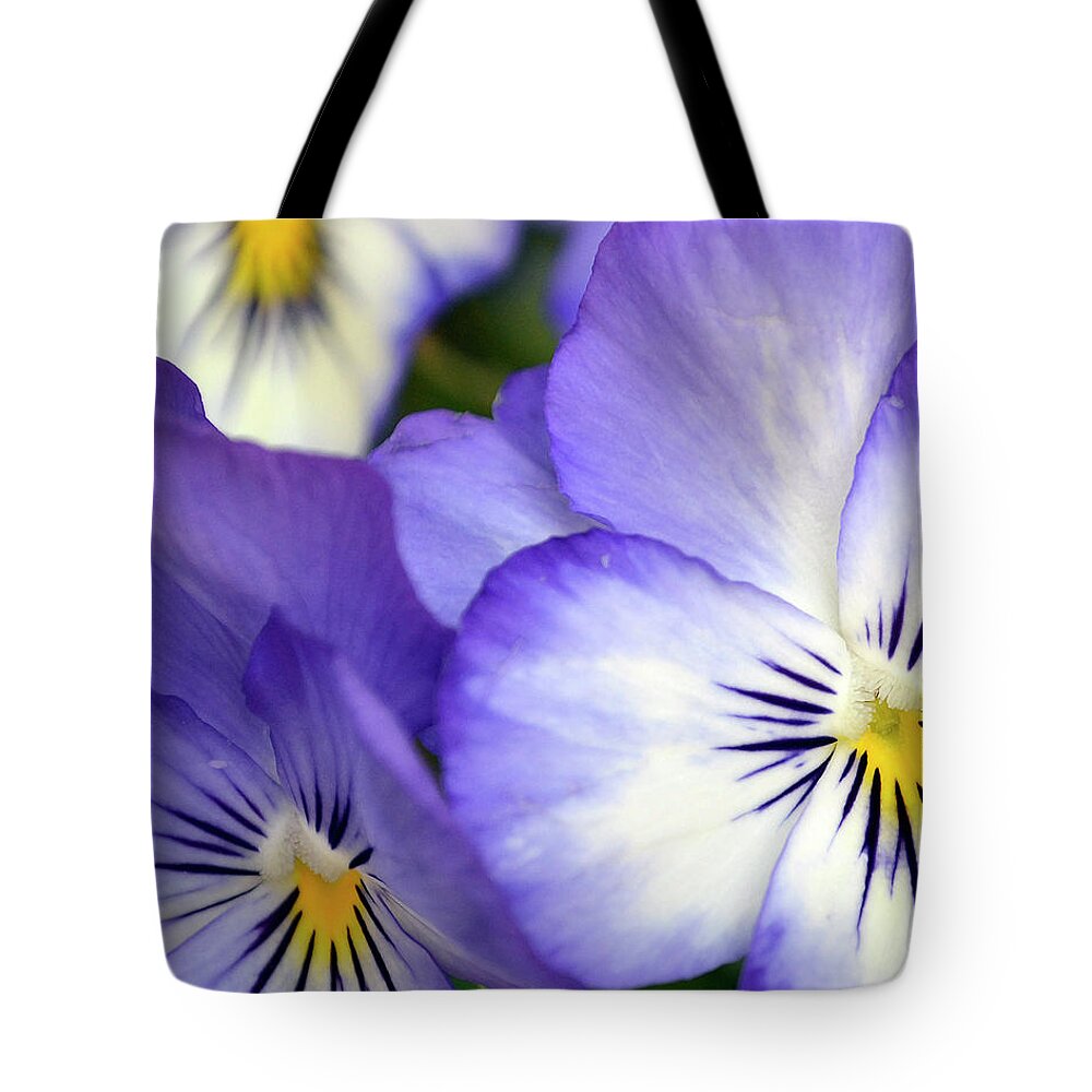 Background Tote Bag featuring the photograph Pretty Violas by Ann Bridges