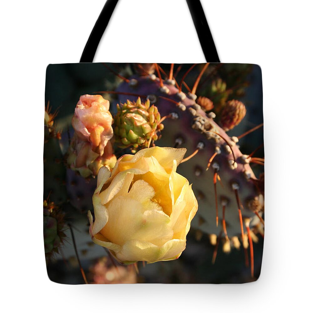 Prickly Tote Bag featuring the photograph Prickly Buds and Blooms by Marna Edwards Flavell