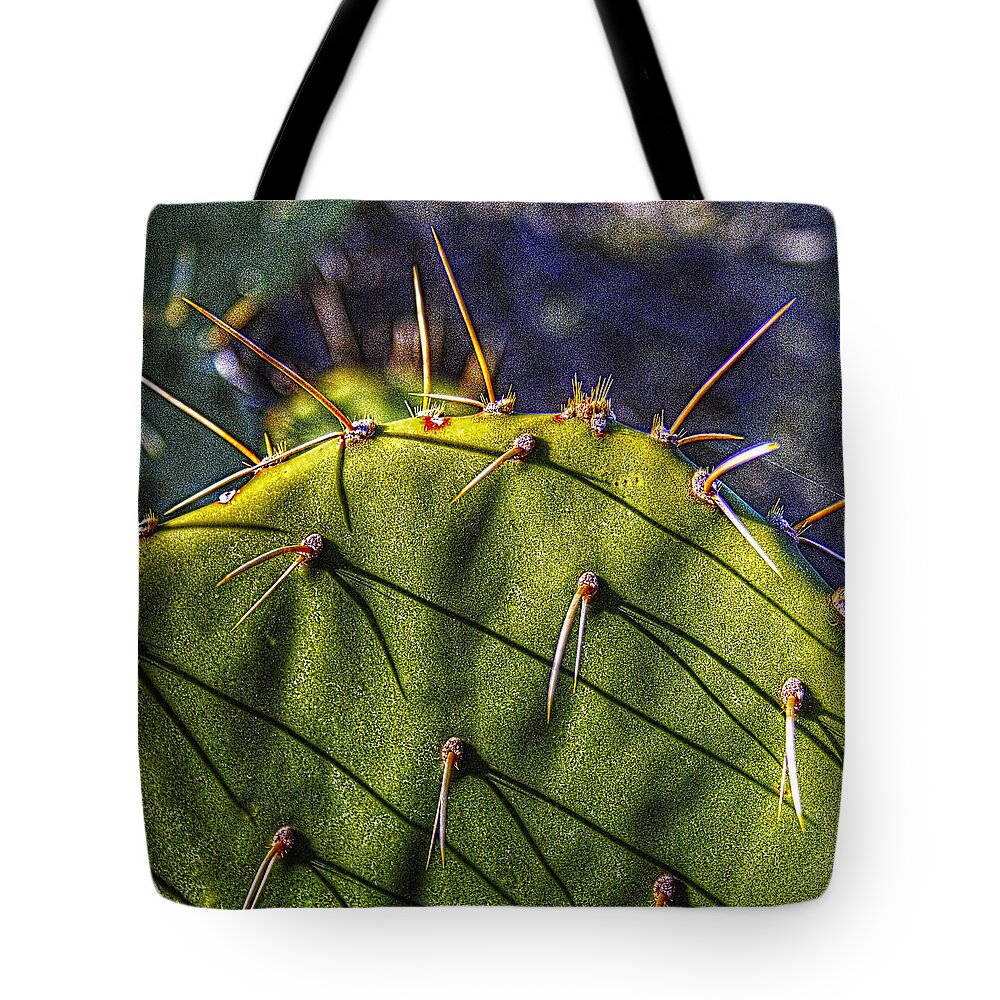 Arizona Tote Bag featuring the photograph Prickly Pear Study No. 9 by Roger Passman