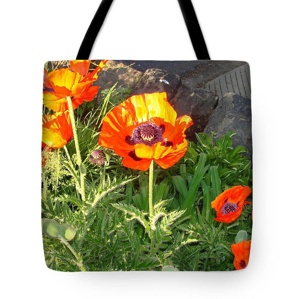 Prince Of Orange Tote Bag featuring the photograph Prince of Orange Poppy by Anthony Seeker