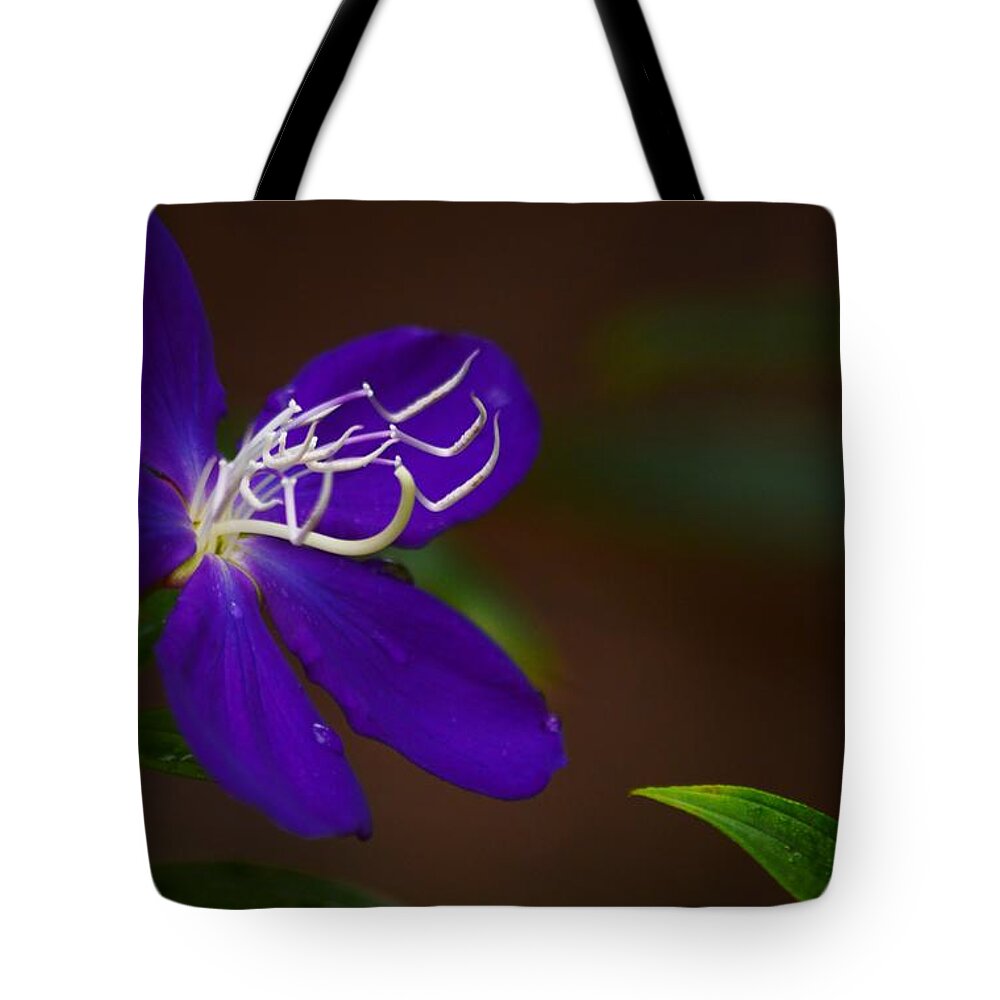 Princess Flower Stamin Tote Bag featuring the photograph Princess Flower Stamin by Warren Thompson