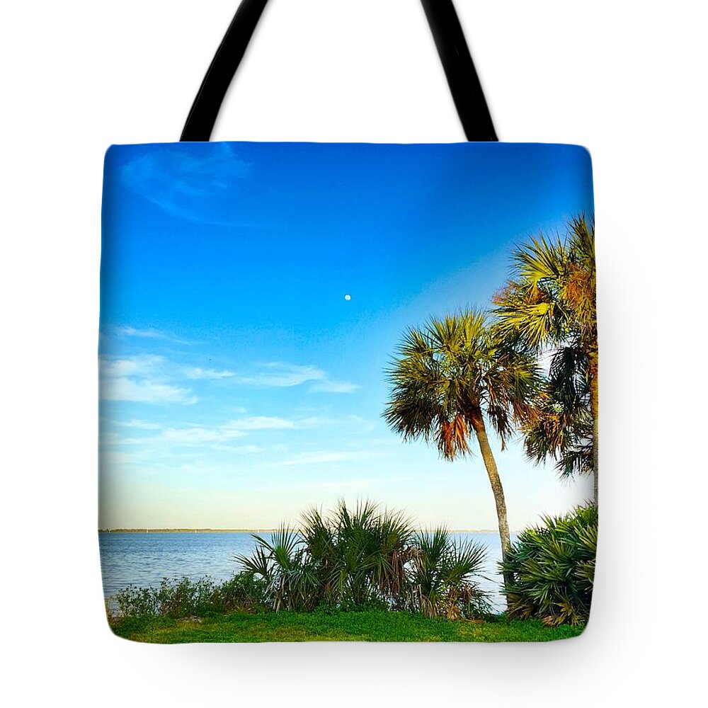 Private Paradise Tote Bag featuring the photograph Private Paradise by Carlos Avila