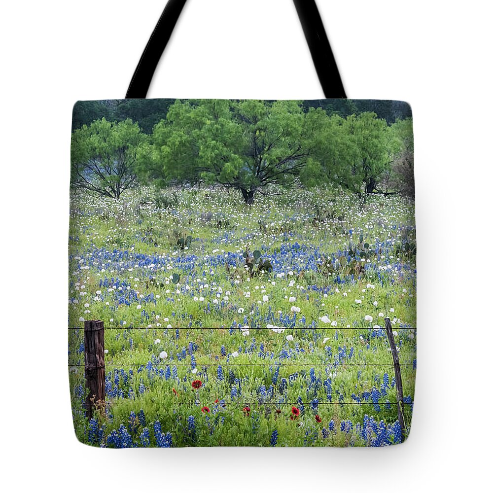 Cactus Tote Bag featuring the photograph Private property -Wildflowers of Texas. by Usha Peddamatham