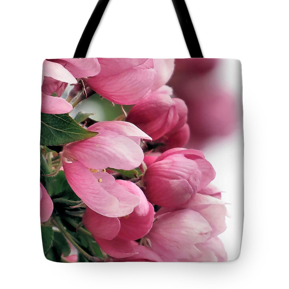 Cherry Blossoms Tote Bag featuring the photograph Profile in Pink by Janice Drew