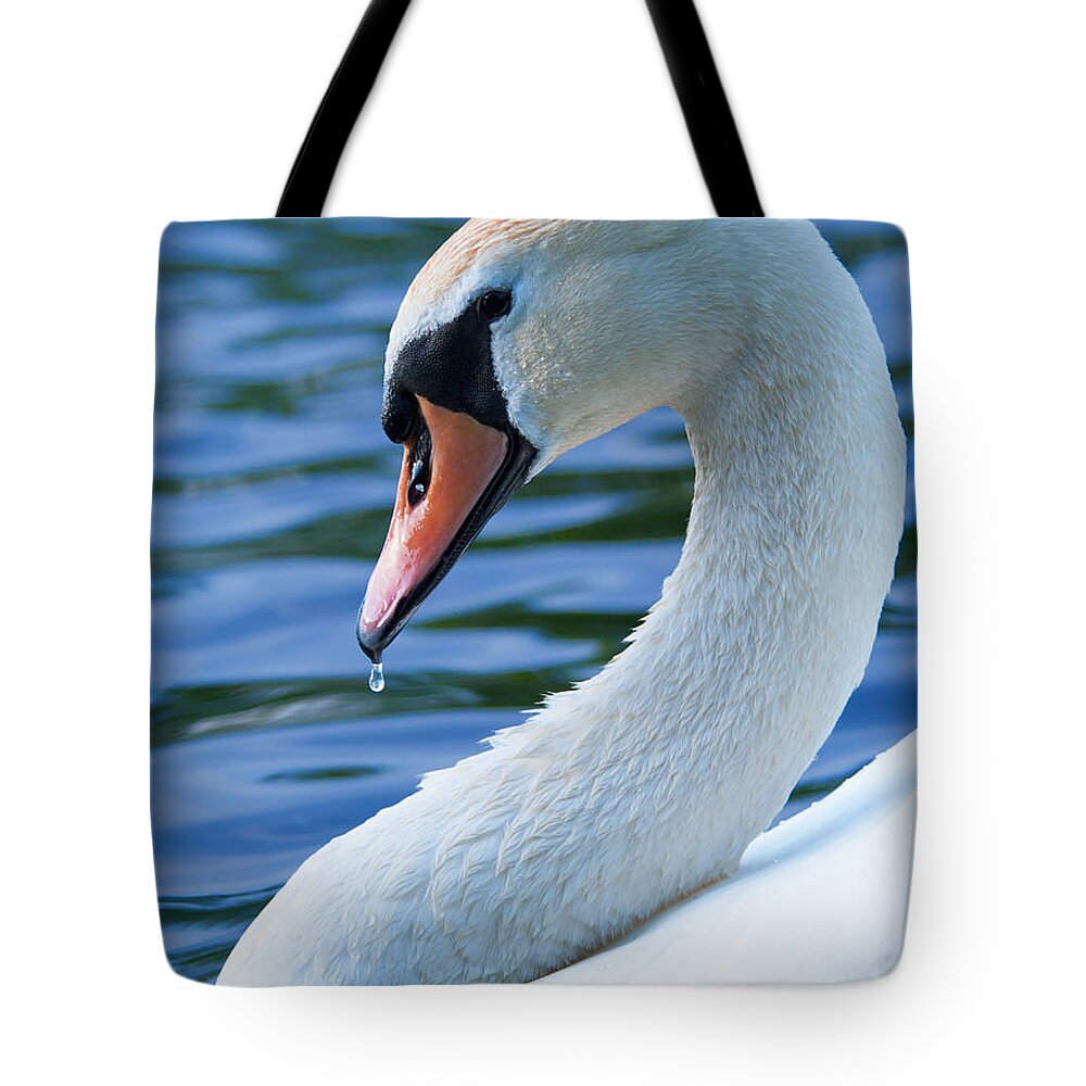 Birds Tote Bag featuring the photograph Profile by Patrick Campbell