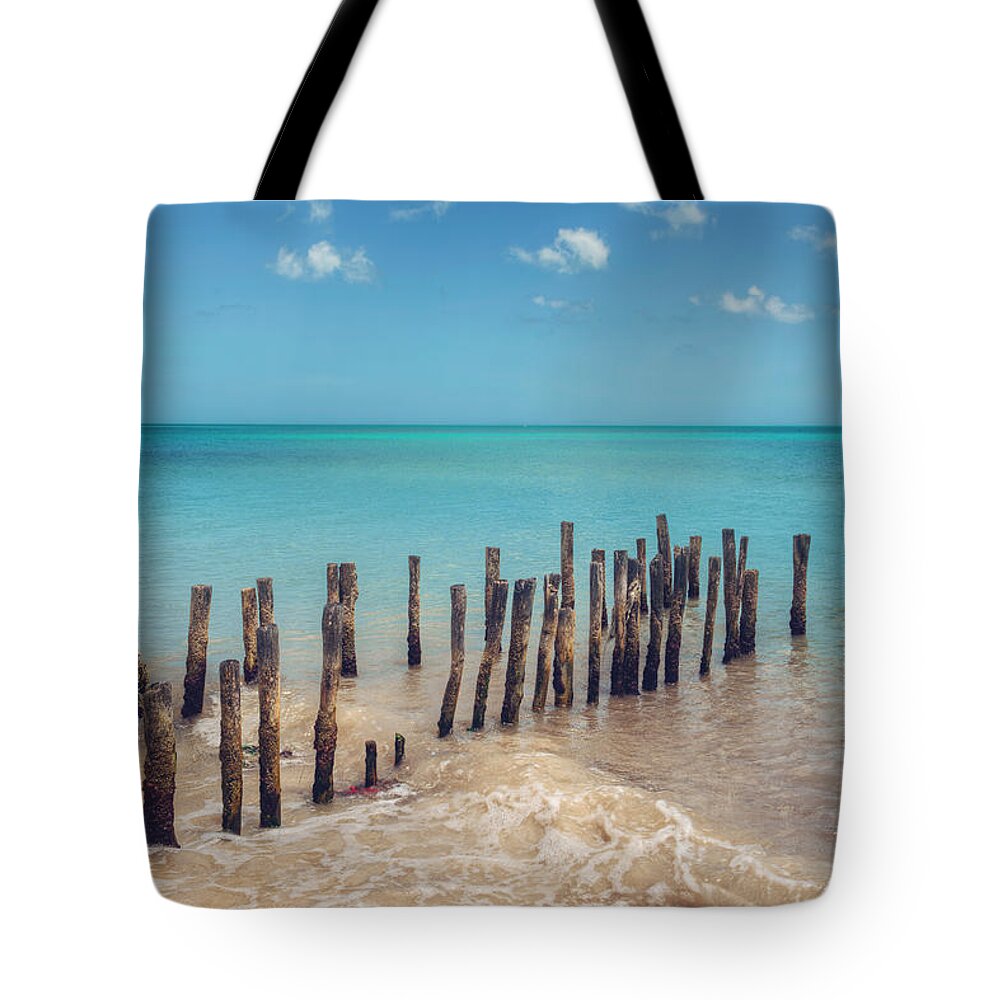Mexico Tote Bag featuring the photograph Progresso Beach by Ray Devlin