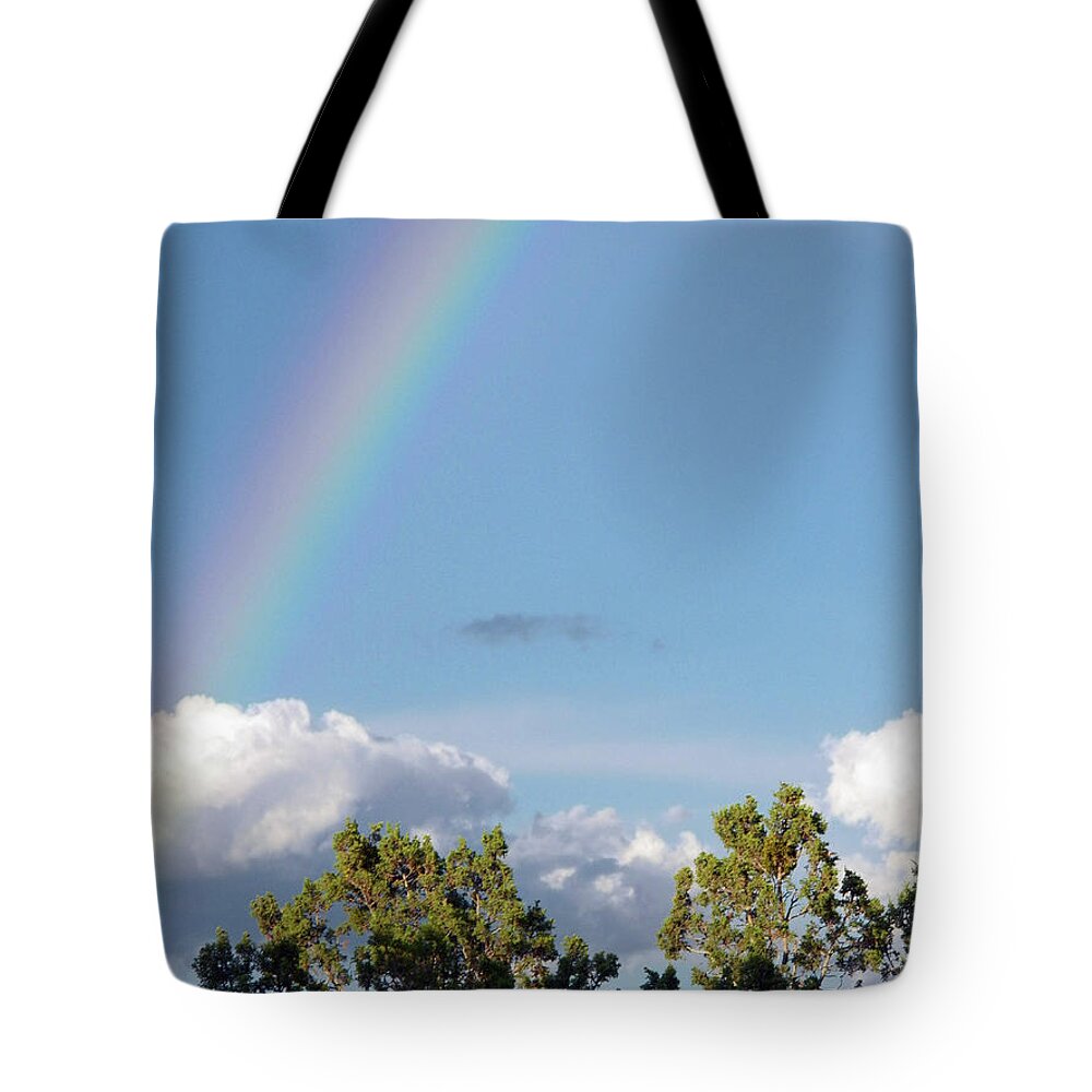 Rainbow Tote Bag featuring the painting Prospecting by Brian Commerford