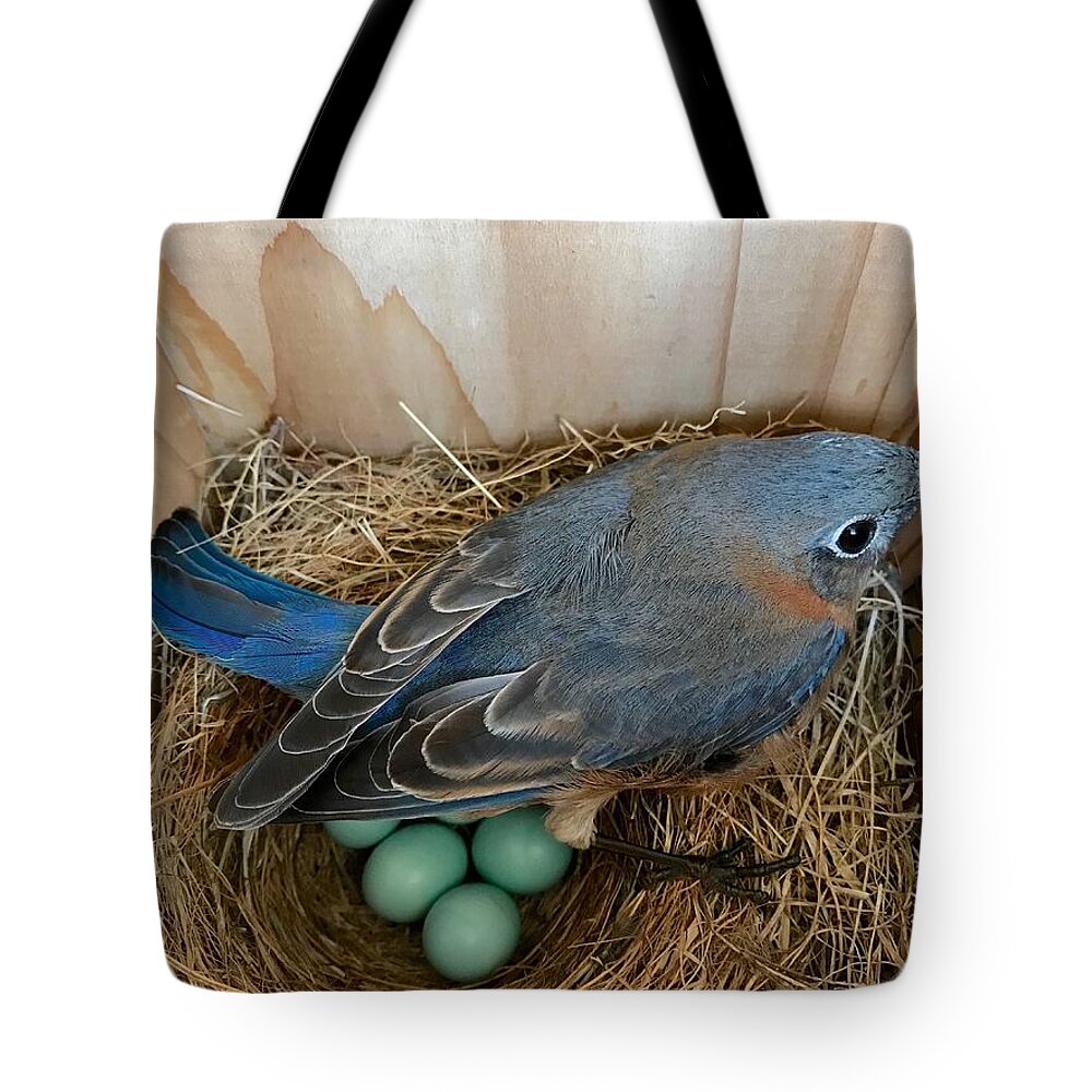 Bluebird Tote Bag featuring the photograph Protected by Jackson Pearson