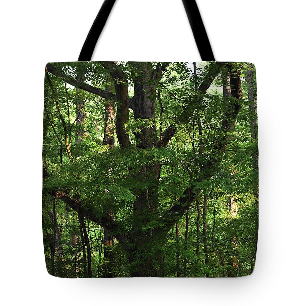 Nature Tote Bag featuring the photograph Protecting The Children by Skip Willits