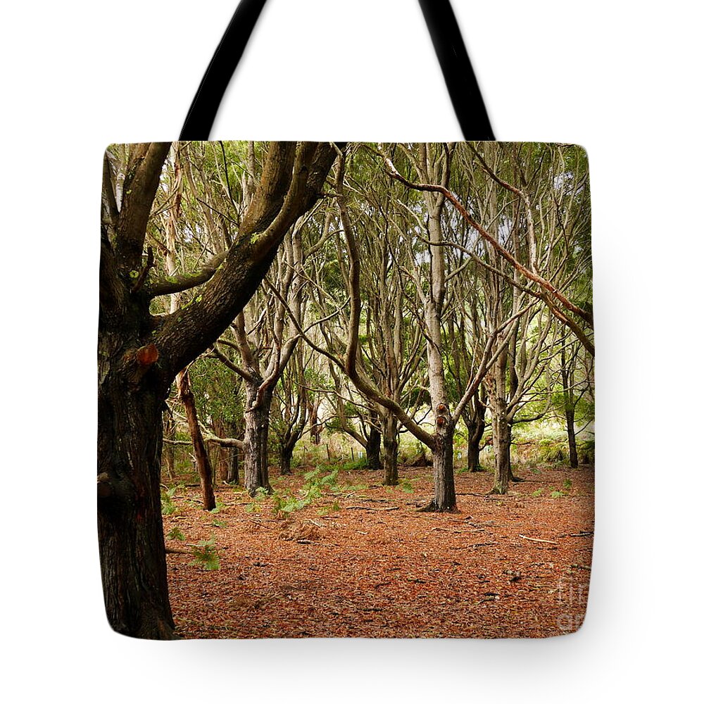 Beautiful And Bold Australian Trees By Lexa Harpell Tote Bag featuring the photograph Protection by Lexa Harpell