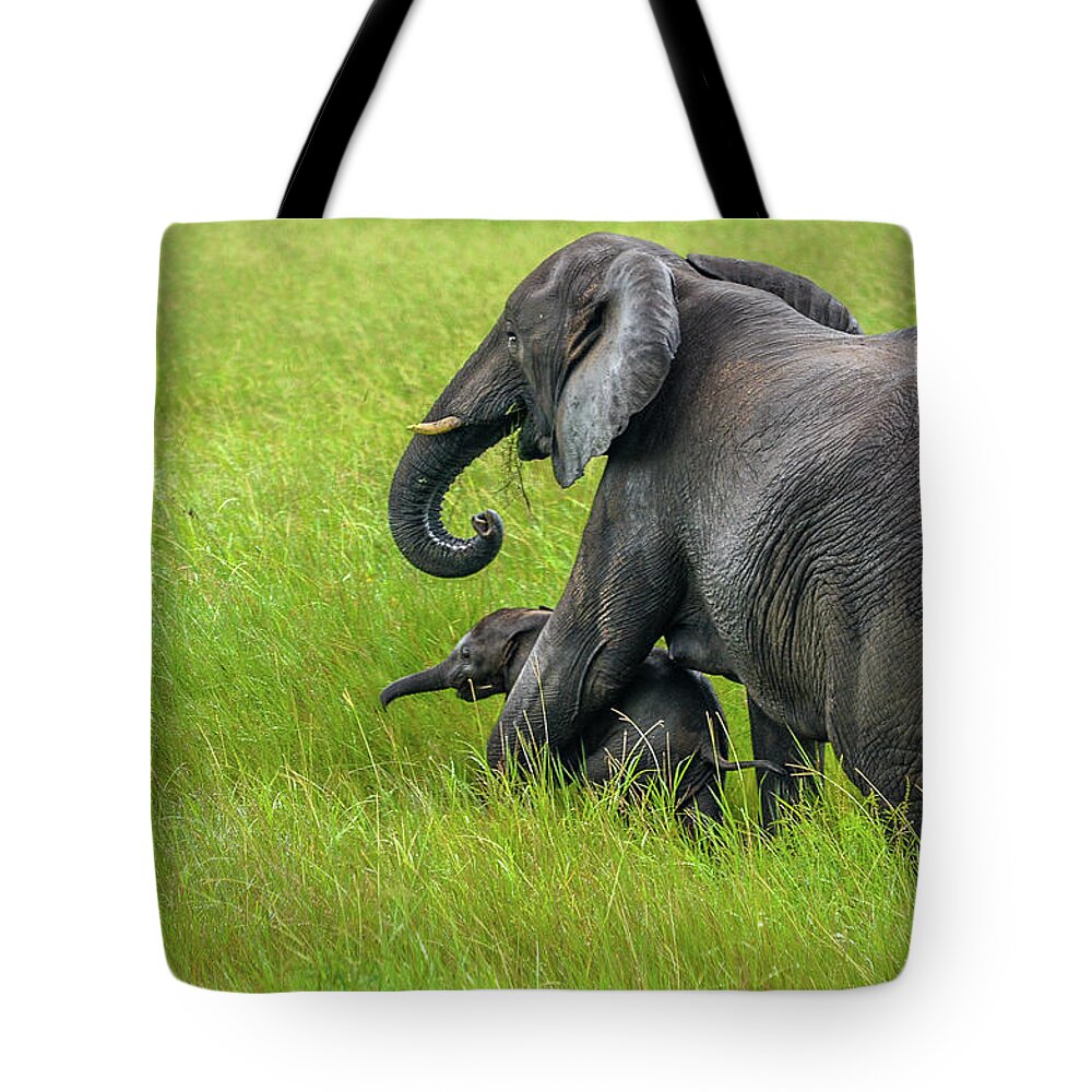 Elephants Tote Bag featuring the photograph Protective elephant mom by Gaelyn Olmsted