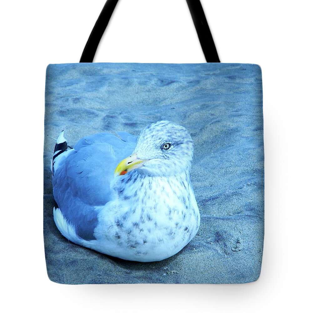 Seagull Contentedly Sitting On The Beach Tote Bag featuring the digital art Proud bird by Priscilla Batzell Expressionist Art Studio Gallery