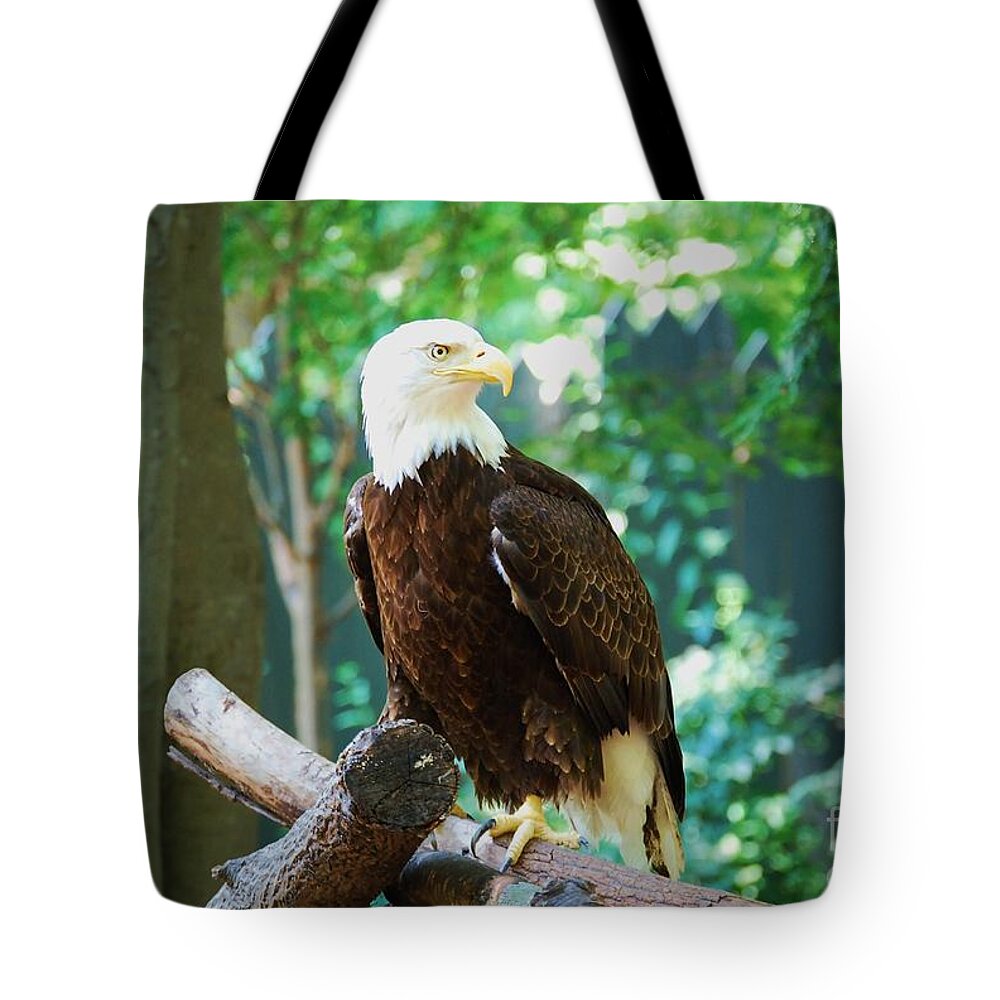 Wildlife Tote Bag featuring the photograph Proud Eagle by Eric Liller