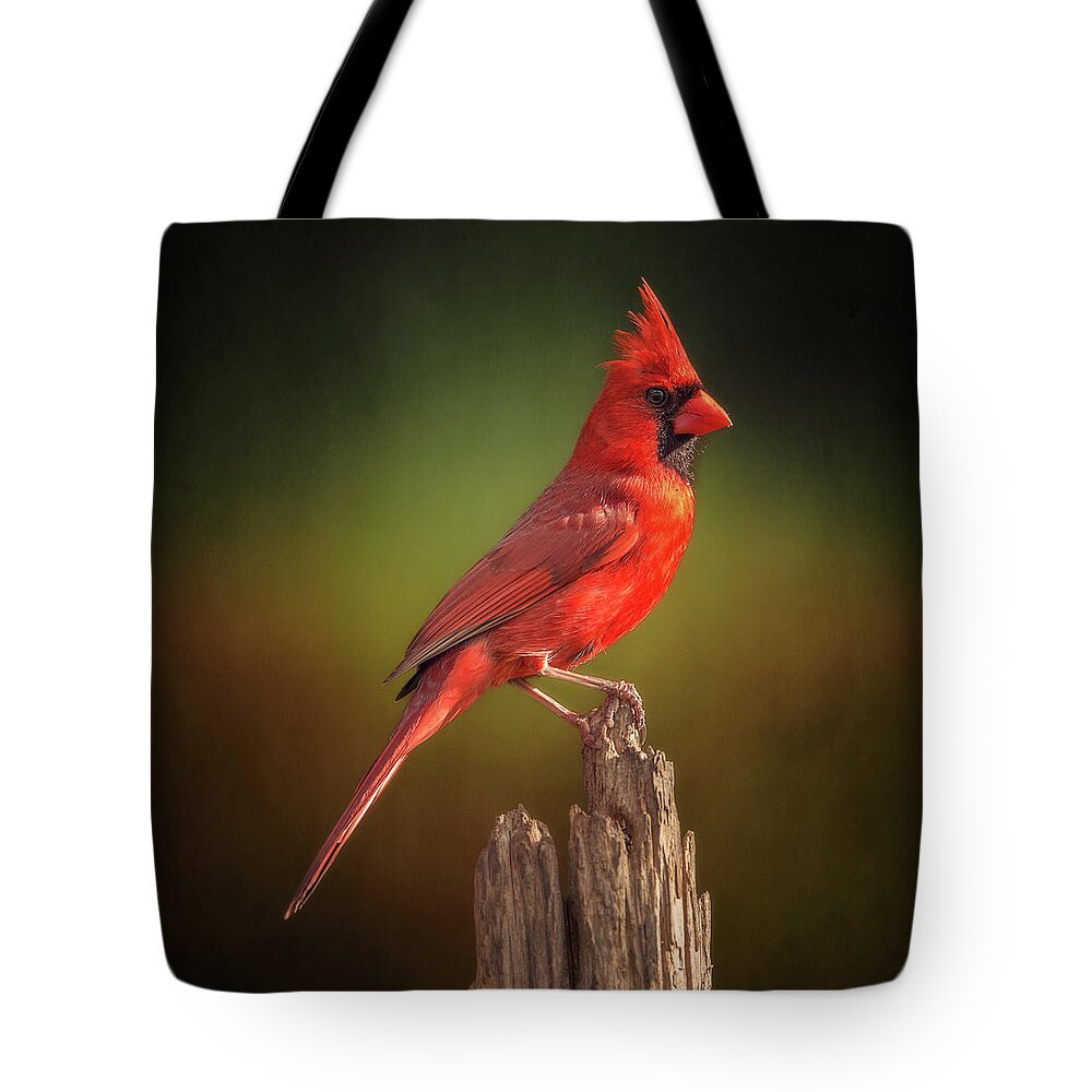 Cardinal Tote Bag featuring the photograph Proud Mr. Redbird by Bill and Linda Tiepelman