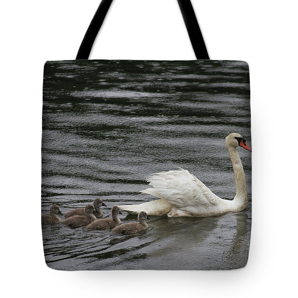 Swans Tote Bag featuring the digital art Proud Parent by Jack Ader