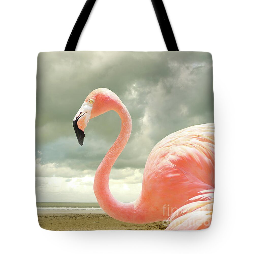Flamingo Tote Bag featuring the photograph Proud to be pink by Adriana Zoon