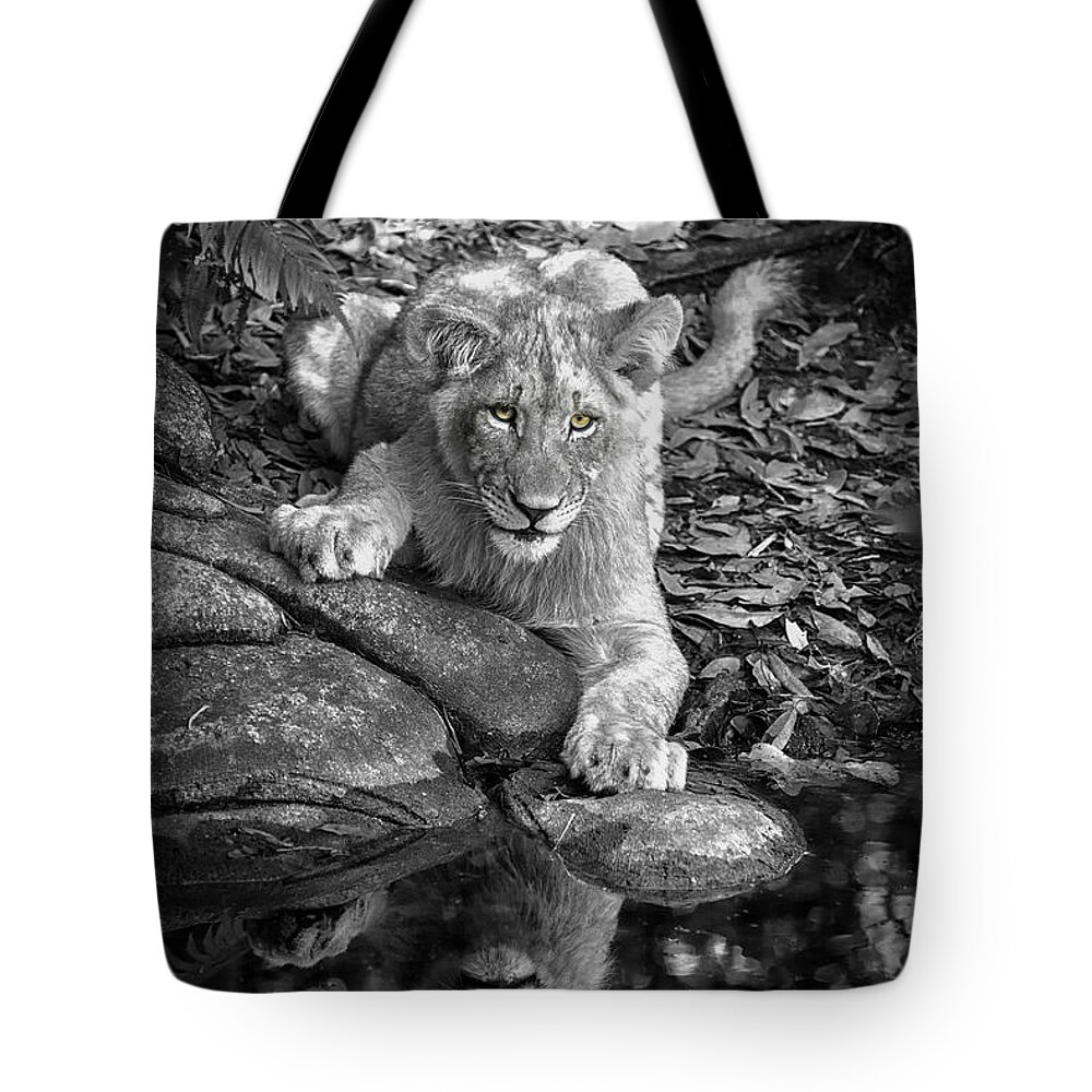 Crystal Yingling Tote Bag featuring the photograph Prowler Reflection by Ghostwinds Photography