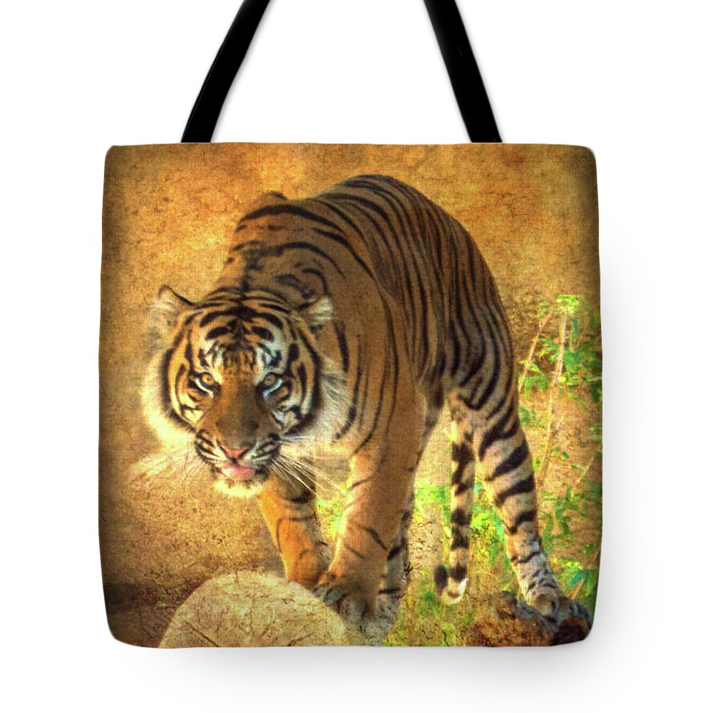 La Zoo Tote Bag featuring the photograph Prowling Tiger by Scott Parker