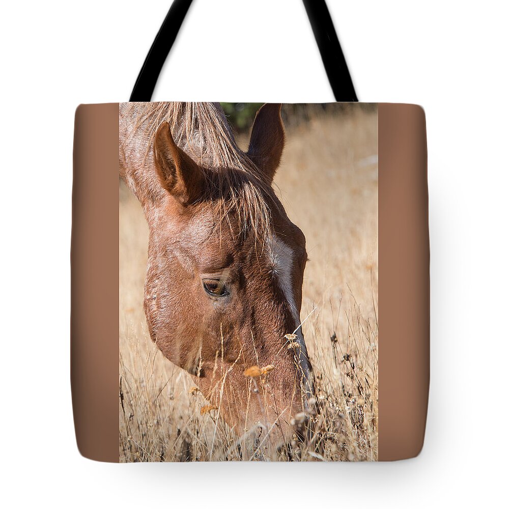 2015 Tote Bag featuring the photograph Pryor Mountain Wild Mustang Cropped by Bert Peake