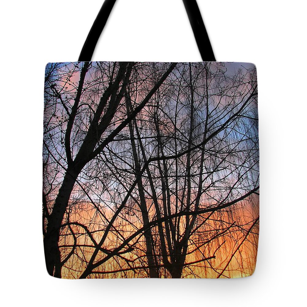 Sunset Tote Bag featuring the photograph Psychedelicate by Chris Dunn
